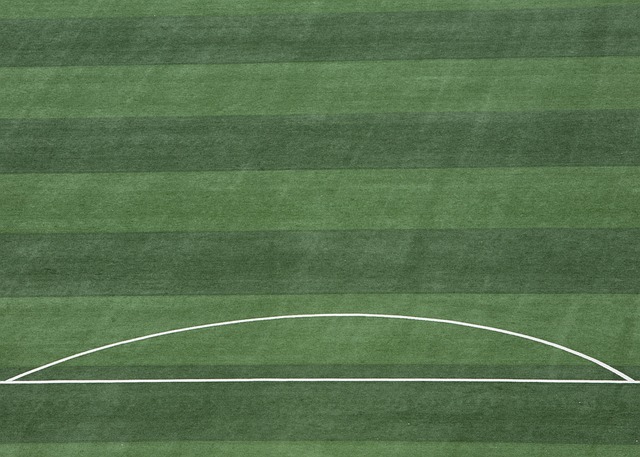 其敏锐的射 其敏锐的射