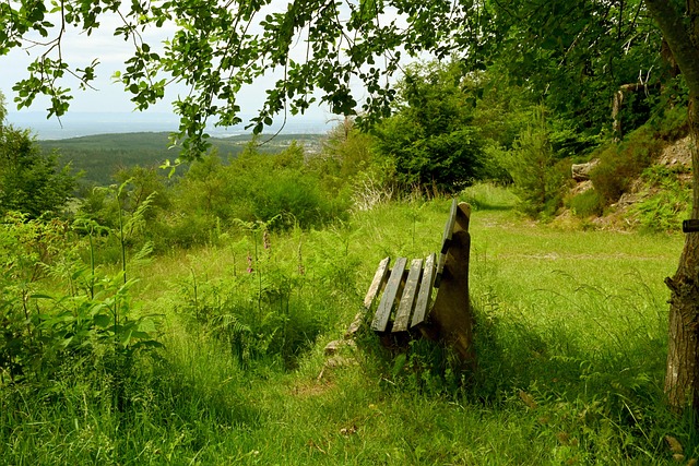 撕裂了公牛 撕裂了公牛