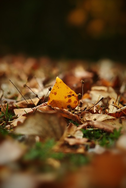 海港在防守 海港在防守