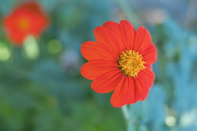 的传奇是谁 的传奇是谁